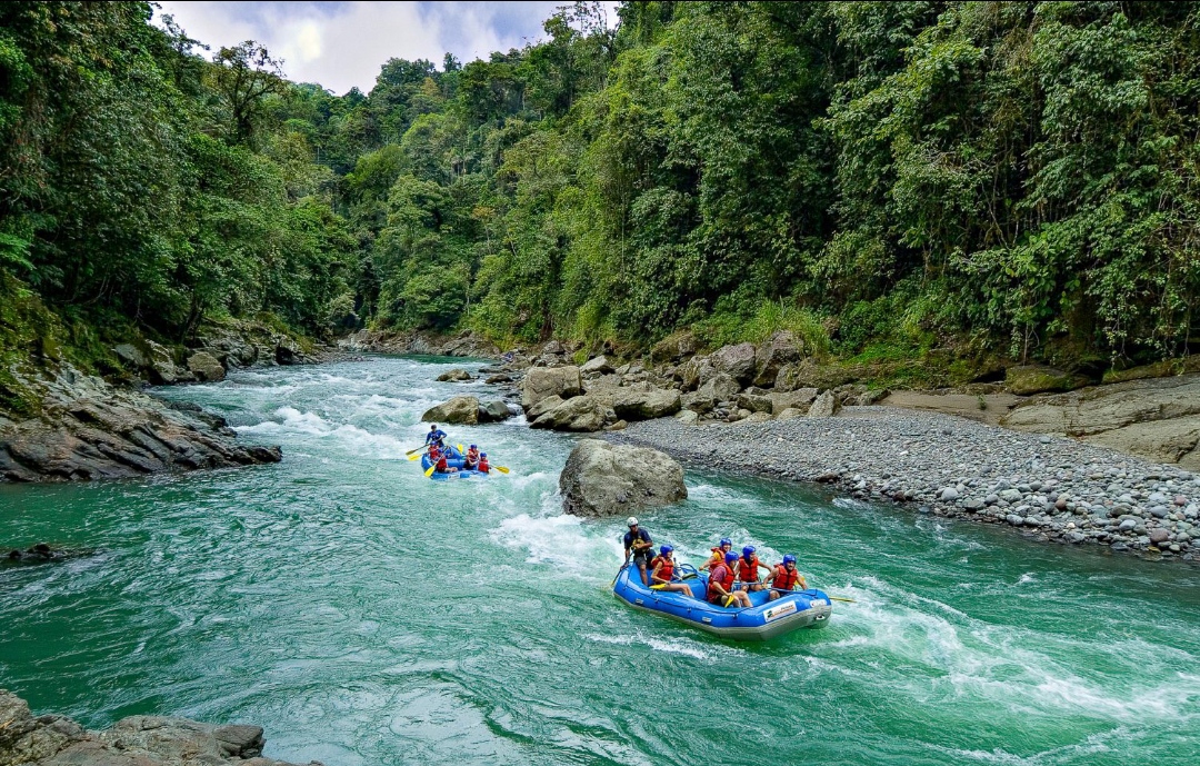 Arenal